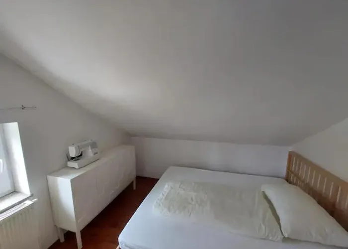 Apartament Oasis
